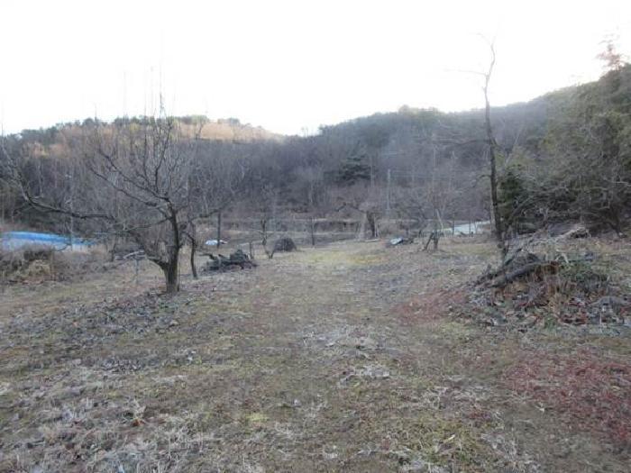 법원경매 2024타경73054 사진2 | 상주시 낙동면 장곡리 675 전 경매
