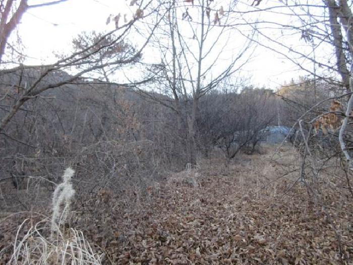 법원경매 2024타경73054 사진7 | 상주시 낙동면 장곡리 675 전 경매