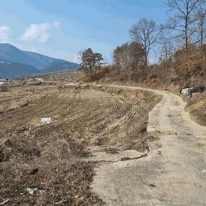 경상북도 예천군 지보면 지보리 744-2 법원경매 물건 대표사진