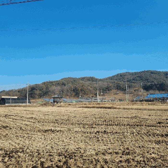 경상북도 상주시 낙동면 상촌리 산32-8 법원경매 물건 대표사진
