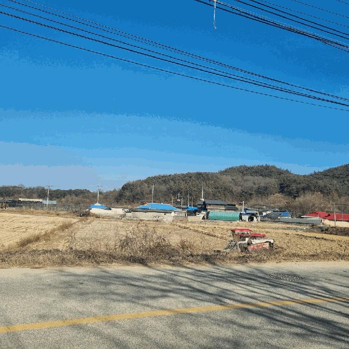 법원경매 2025타경5133 사진2 | 상주시 낙동면 상촌리 임야 경매