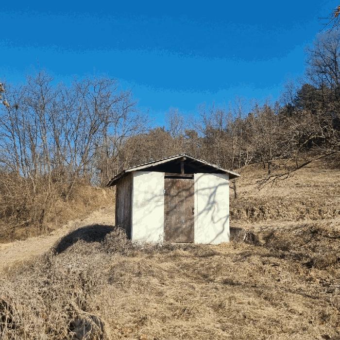 법원경매 2025타경5133 사진3 | 상주시 낙동면 상촌리 임야 경매