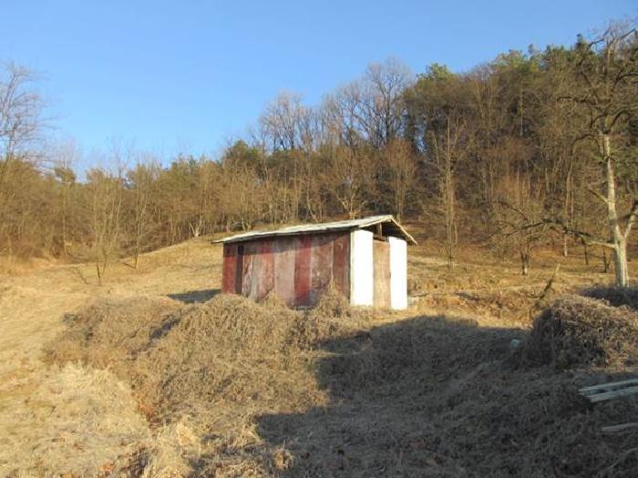 법원경매 2025타경5133 사진4 | 상주시 낙동면 상촌리 임야 경매