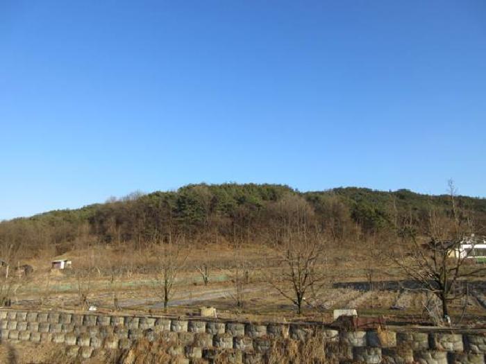법원경매 2025타경5133 사진5 | 상주시 낙동면 상촌리 임야 경매