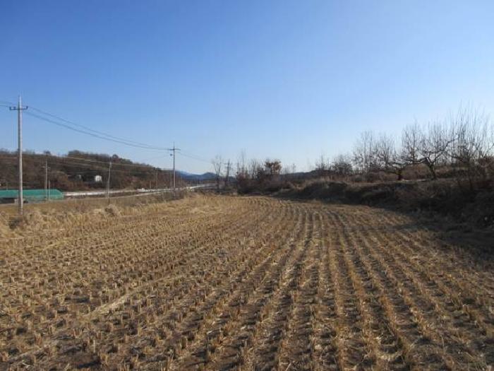 경상북도 예천군 지보면 어신리 672-3 법원경매 물건 대표사진