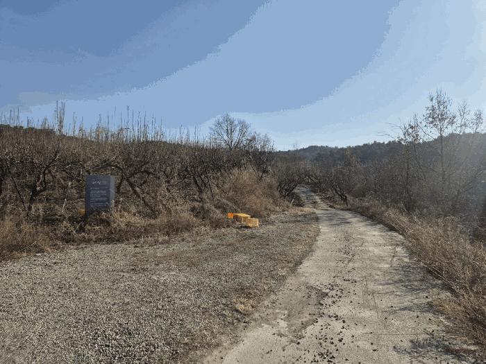 법원경매 2025타경5218 사진2 | 상주시 공검면 오태리 59-8 과수원 경매