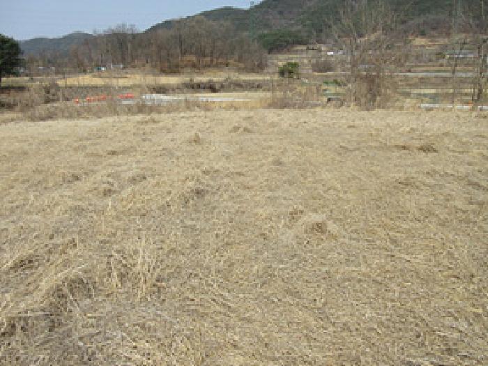 법원경매 2025타경5235 사진7 | 예천군 예천읍 대심리 661 전 경매
