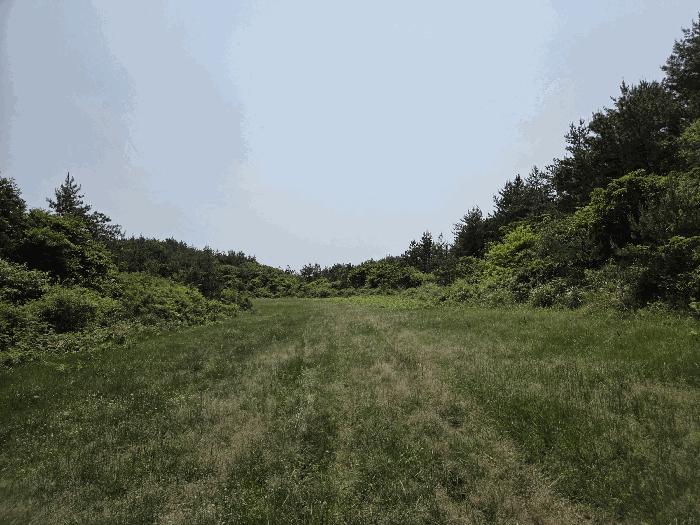 2025타경8003 법원경매 사진11 | 제주 제주시 임야 경매