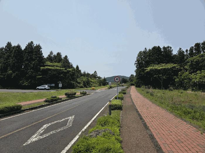 2025타경8003 법원경매 사진5 | 제주 제주시 임야 경매