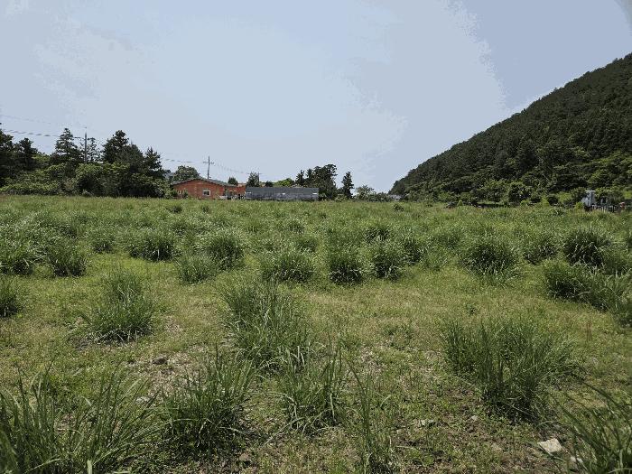 2025타경8003 법원경매 사진6 | 제주 제주시 임야 경매