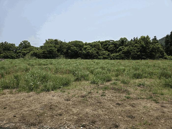 2025타경8003 법원경매 사진3 | 제주 제주시 기타 경매