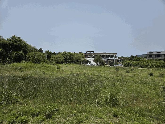 2025타경8003 법원경매 사진12 | 제주 서귀포시 임야 경매