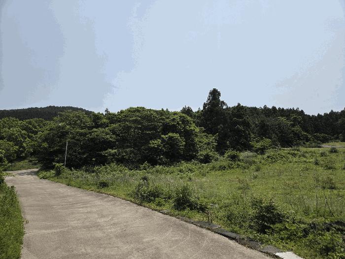 2025타경8003 법원경매 사진18 | 제주 서귀포시 임야 경매