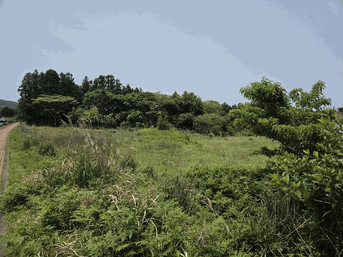 2025타경8003 법원경매 사진2 | 제주 서귀포시 임야 경매