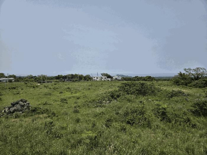 2025타경8003 법원경매 사진9 | 제주 서귀포시 임야 경매