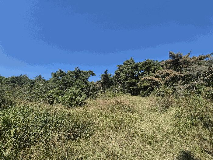 법원경매 2025타경3019 사진3 | 성주군 선남면 관화리 임야 경매
