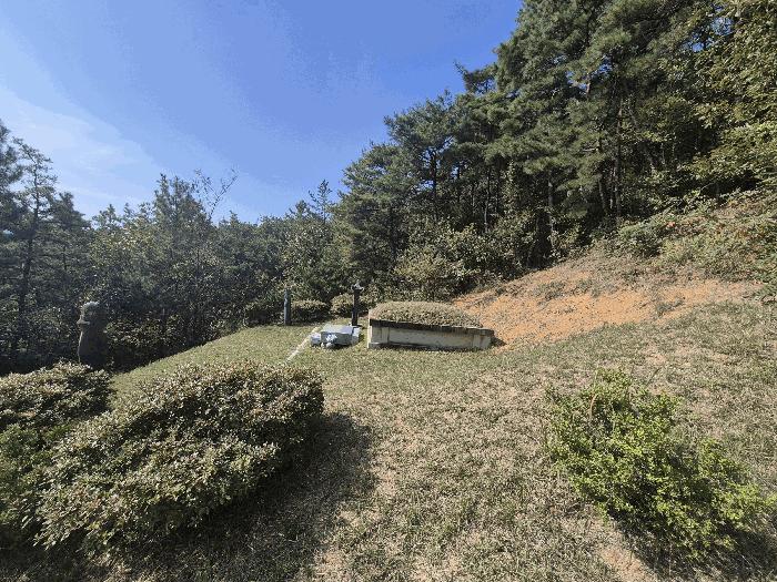 법원경매 2025타경3019 사진4 | 성주군 선남면 관화리 임야 경매