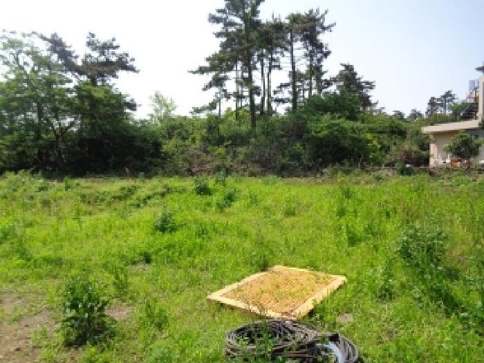 2025타경8061 법원경매 사진5 | 제주 제주시 창고 경매
