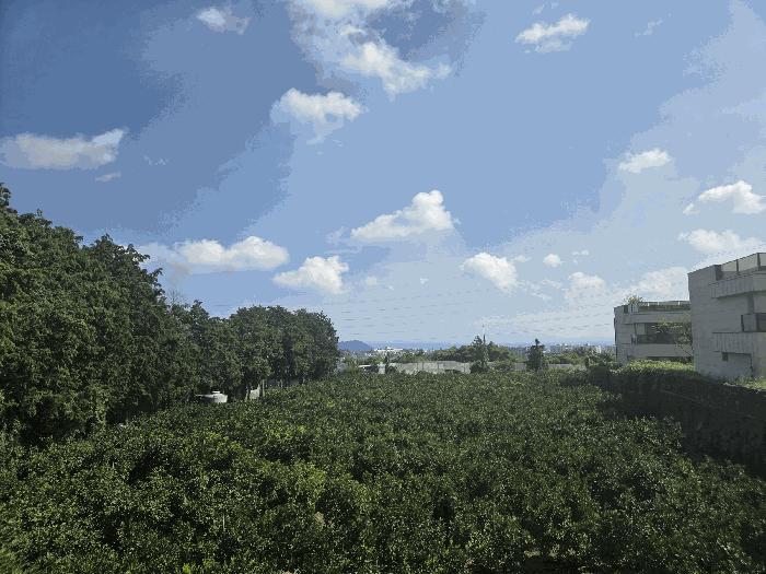 2025타경8142 법원경매 사진4 | 제주 제주시 과수원 경매