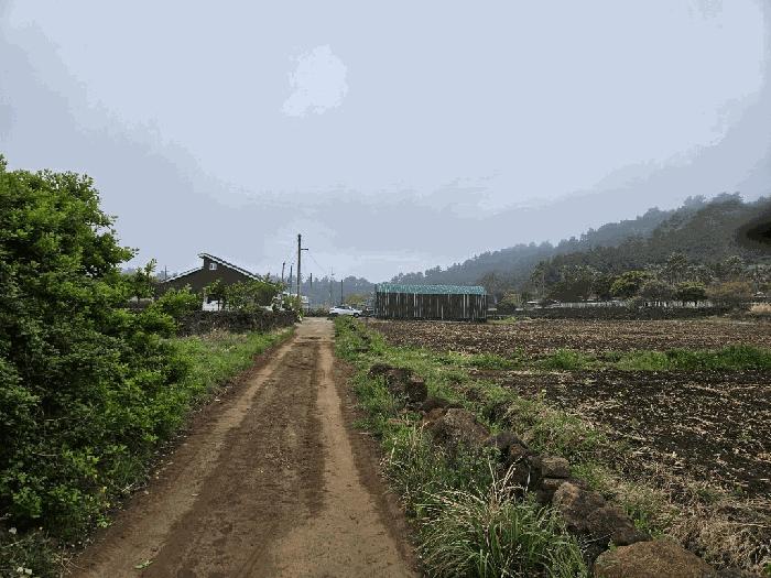 2025타경1145 법원경매 사진5 | 제주 서귀포시 전답 경매