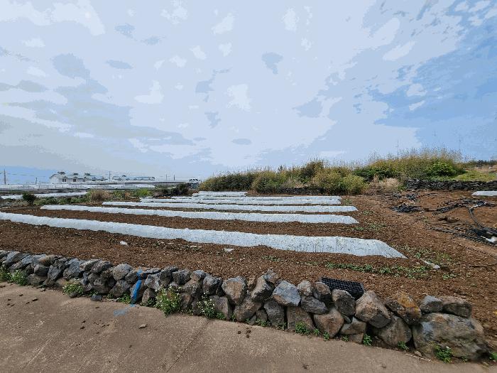 2025타경1169 법원경매 사진3 | 제주 제주시 전 경매