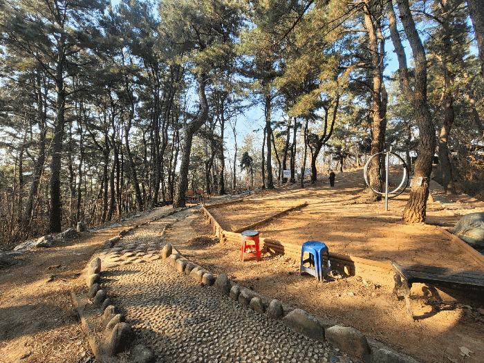 2025타경381 법원경매 사진4 | 울산 남구 임야 경매