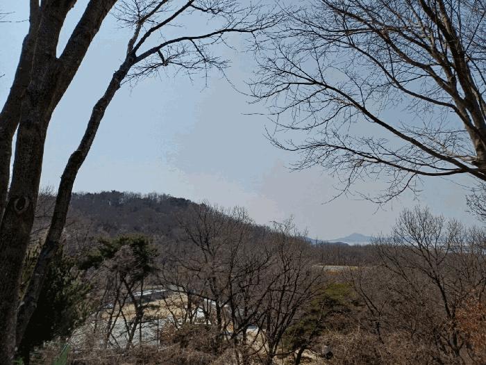 2025타경507963 법원경매 사진2 | 인천 강화군 임야 경매