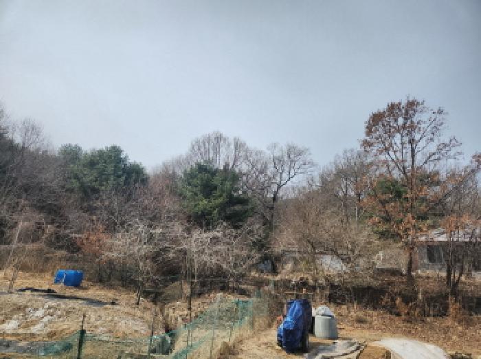 2025타경507963 법원경매 사진3 | 인천 강화군 임야 경매
