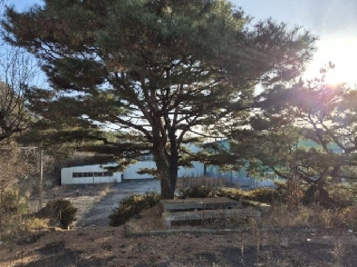 2024타경87219 법원경매 사진3 | 전남 곡성군 공장 경매