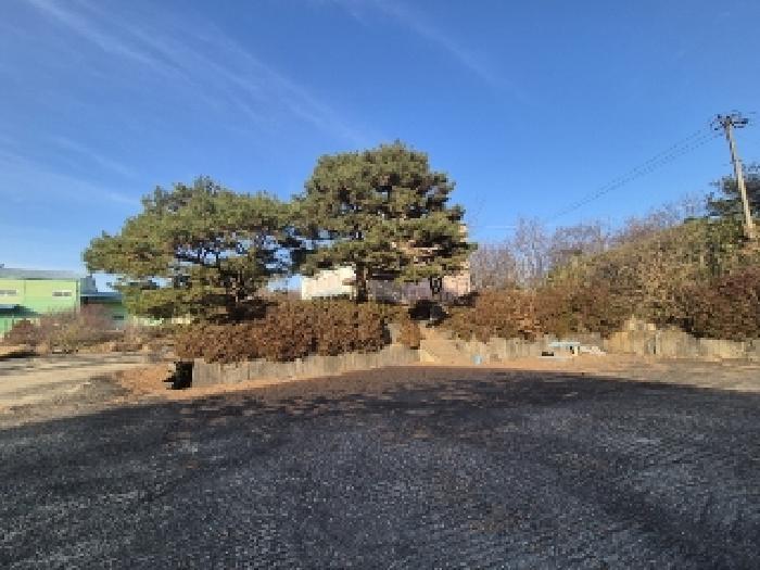2024타경87219 법원경매 사진7 | 전남 곡성군 공장 경매
