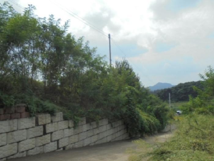2025타경4728 법원경매 사진9 | 청주 상당구 임야 경매