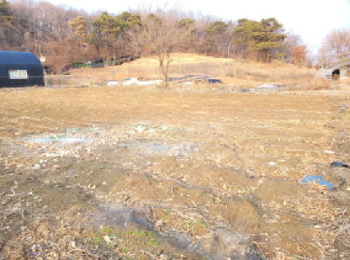 법원경매 2025타경483 사진22 | 김포시 고촌읍 신곡리 342-2 전 경매
