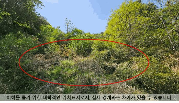 2025타경196 법원경매 사진2 | 창원 마산회원구 전답 경매