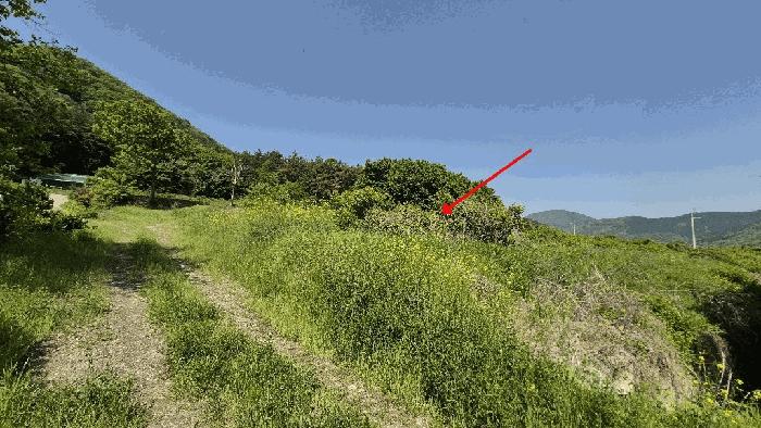 2025타경209 법원경매 사진3 | 창원 마산합포구 전 경매