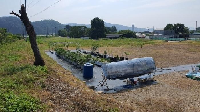 2025타경231 법원경매 사진6 | 창원 마산합포구 전 경매