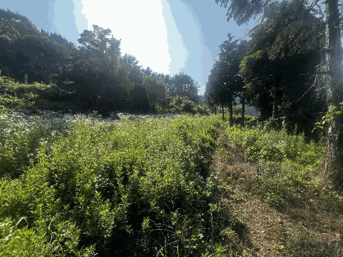 2025타경239 법원경매 사진3 | 창원 마산합포구 전답 경매