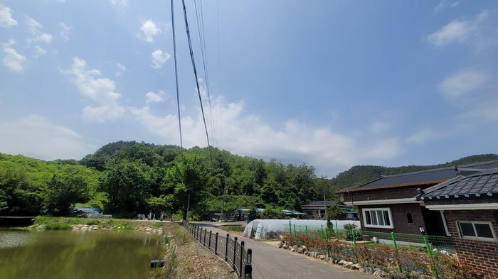 2025타경20556 법원경매 사진6 | 경남 함안군 임야 경매