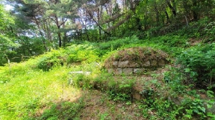 2025타경20556 법원경매 사진8 | 경남 함안군 임야 경매