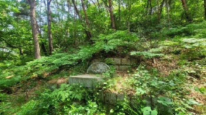 2025타경20556 법원경매 사진9 | 경남 함안군 임야 경매