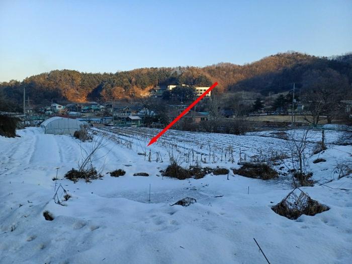 법원경매 2024타경71591 사진2 | 광주시 곤지암읍 봉현리 102-1 답 경매