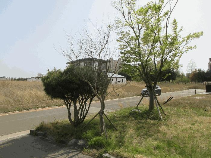 2025타경684 법원경매 사진4 | 전남 나주시 주택건물 경매