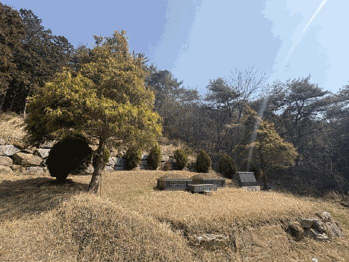 2025타경1083 법원경매 사진5 | 전남 곡성군 답 경매