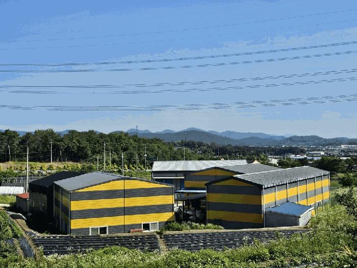 2025타경3836 법원경매 사진35 | 전남 장성군 공장 경매