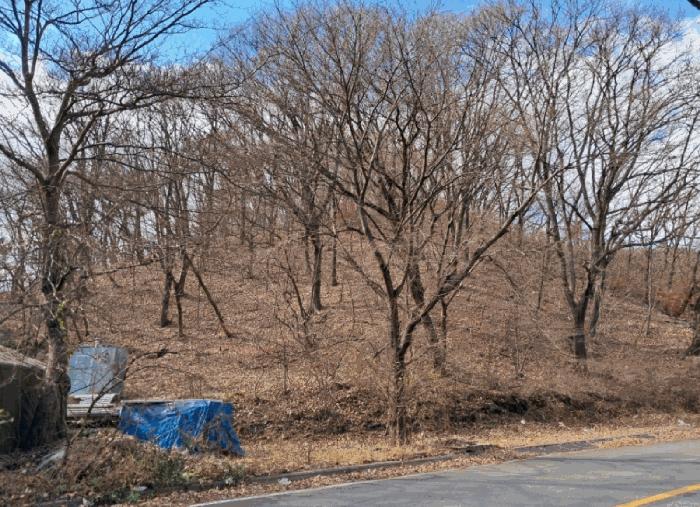 법원경매 2025타경2326 사진2 | 양주시 장흥면 석현리 임야 경매