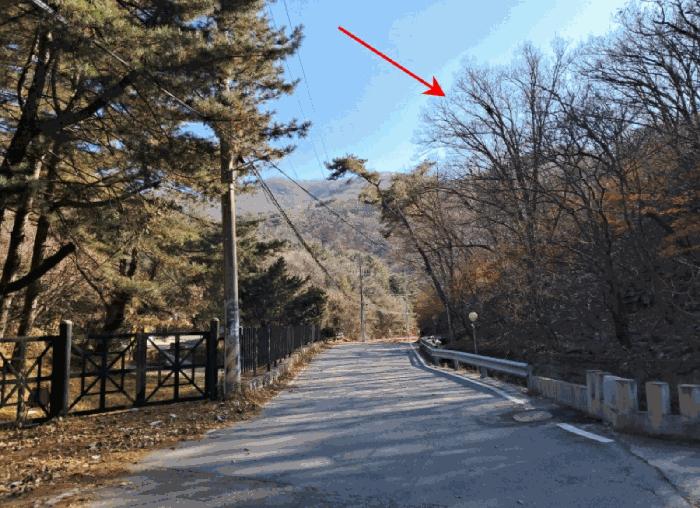 법원경매 2025타경2326 사진7 | 양주시 장흥면 석현리 임야 경매