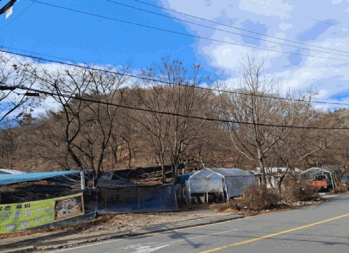 법원경매 2025타경2326 사진8 | 양주시 장흥면 석현리 임야 경매