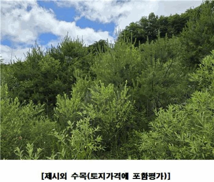 2025타경502441 법원경매 사진2 | 충남 금산군 임야 경매