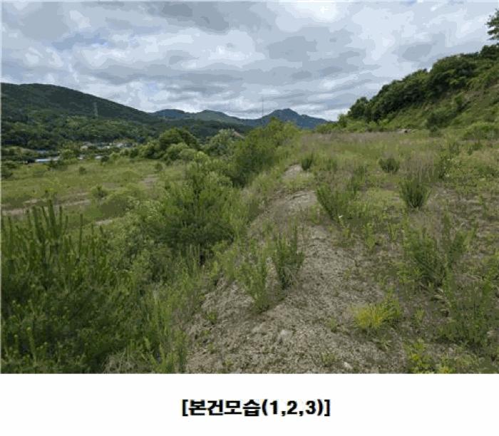 2025타경502441 법원경매 사진4 | 충남 금산군 임야 경매