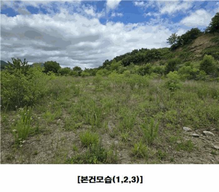 2025타경502441 법원경매 사진6 | 충남 금산군 임야 경매