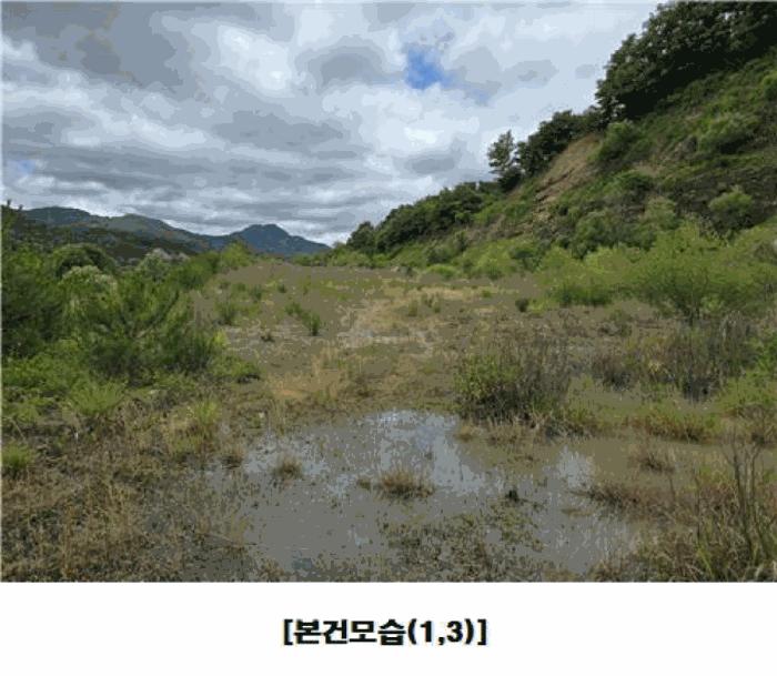 2025타경502441 법원경매 사진8 | 충남 금산군 임야 경매